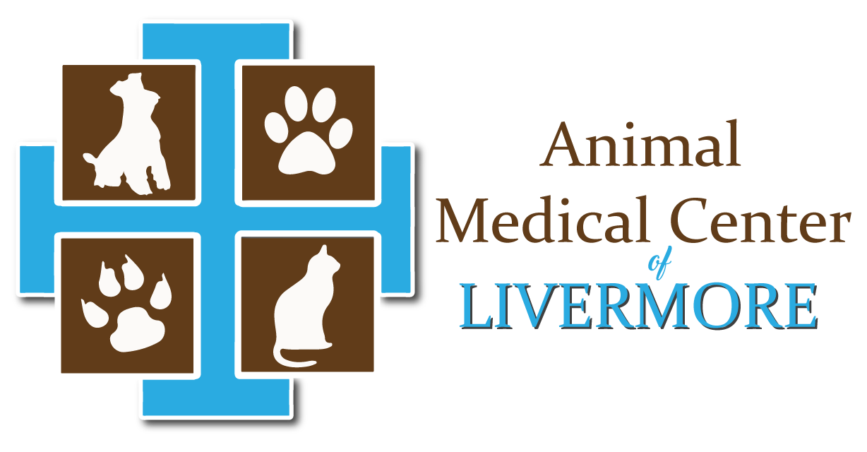 Animal Medical Center of Livermore - Livermore, CA - Home